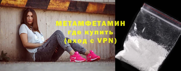 прущие грибы Корсаков