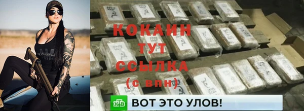 прущие грибы Корсаков