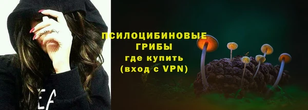 прущие грибы Корсаков