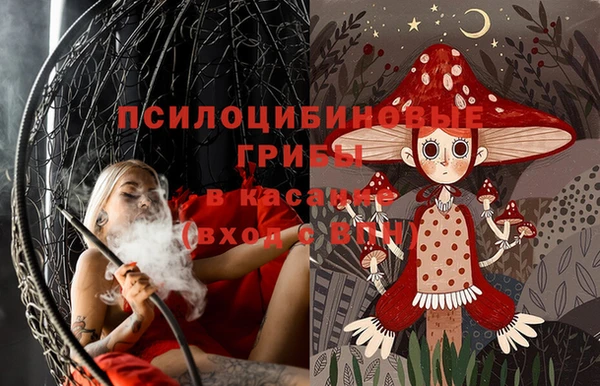 экстази Коряжма