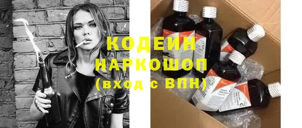 прущие грибы Корсаков