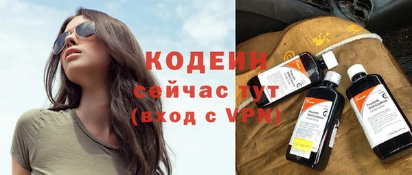 мдпв Козельск