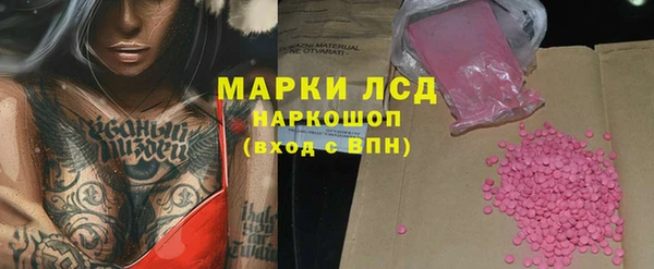 прущие грибы Корсаков