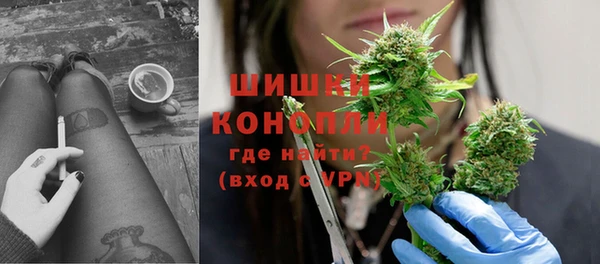 прущие грибы Корсаков