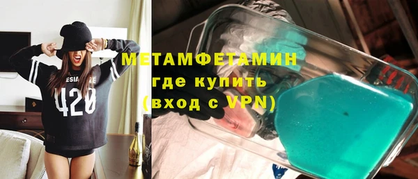 прущие грибы Корсаков