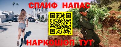 гашик Кунгур