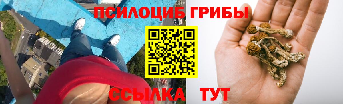 Галлюциногенные грибы Magic Shrooms  Псилоцибиновые грибы MAGIC MUSHROOMS  Лесосибирск  Вход с VPN 