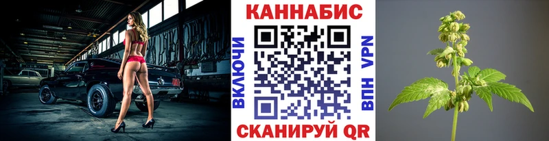 Канабис тримм  купить наркотики сайты  Лесосибирск 